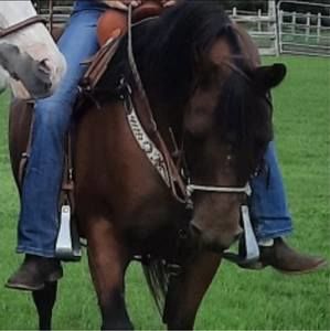 Meet your Posher, Noelle